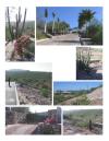 Photo of Lots/Land For sale in Mexico